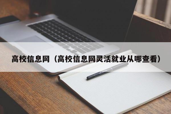 高校信息网（高校信息网灵活就业从哪查看）