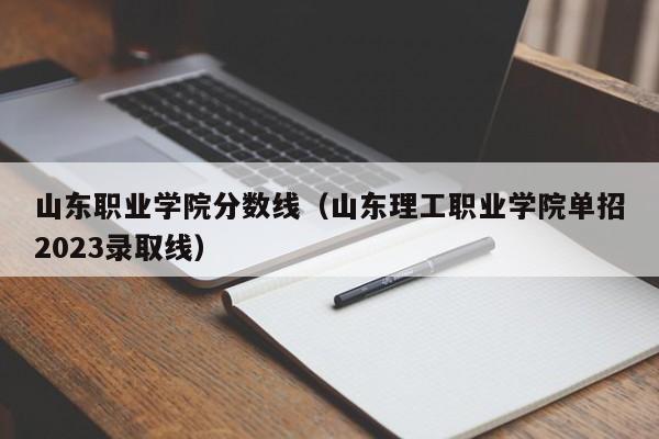 山东职业学院分数线（山东理工职业学院单招2023录取线）