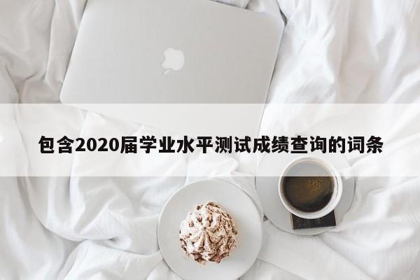 包含2020届学业水平测试成绩查询的词条