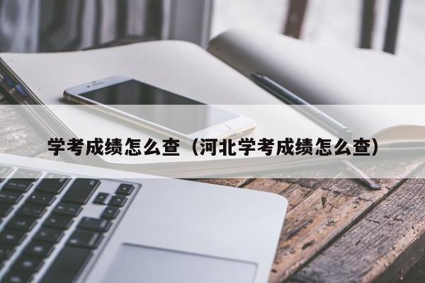 学考成绩怎么查（河北学考成绩怎么查）